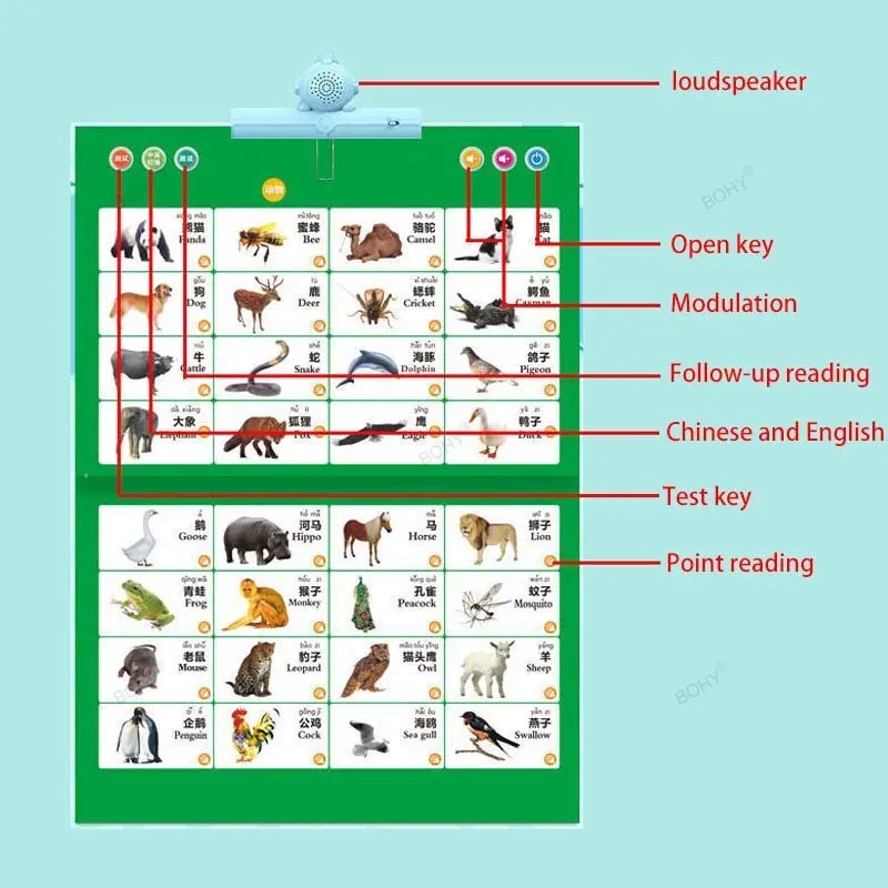 Point To Read Audio Books Poin - Kids Toys Now incelemesi ve fiyatı