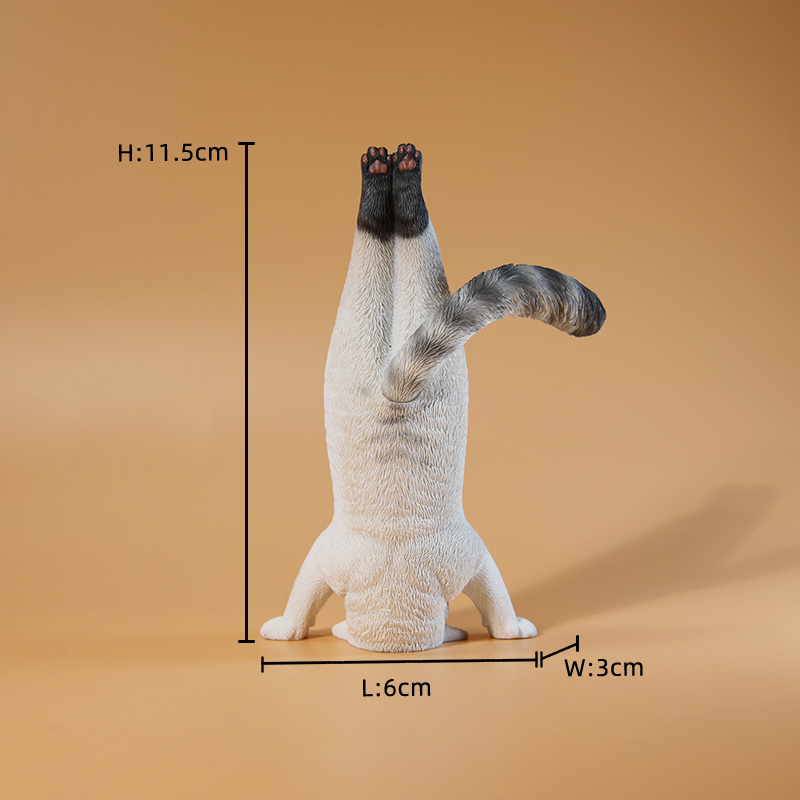 1/6 Scale Mini Simulated Fitne - Kids Yoga Toys incelemesi ve fiyatı
