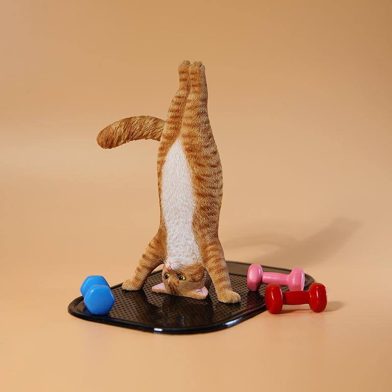 1/6 Scale Mini Simulated Fitne - Kids Yoga Toys incelemesi ve fiyatı