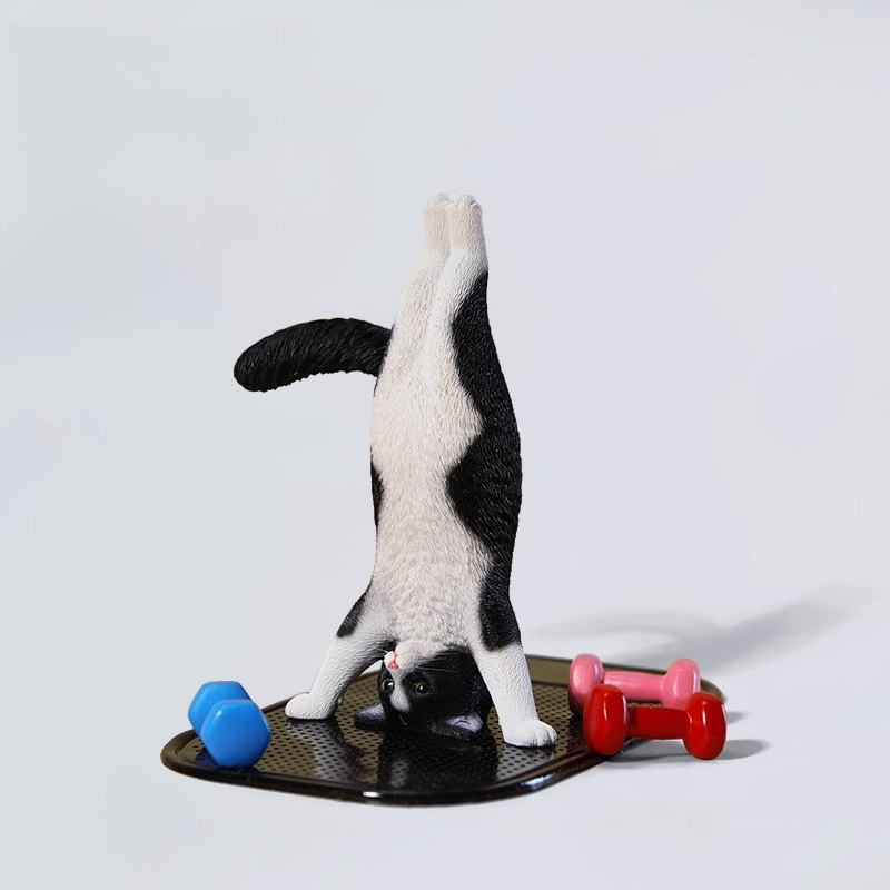 1/6 Scale Mini Simulated Fitne - Kids Yoga Toys incelemesi ve fiyatı